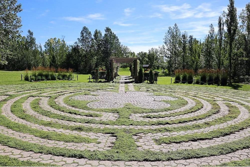 YYC New! Enjoy Yoga Classes! Private 2 Bedroom Suite W Netflix & Banff Pass! Near Championship Golf Course! מראה חיצוני תמונה